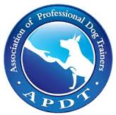 apdt.jpg (6571 bytes)